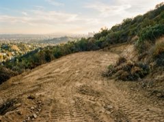 Cleared brushy hillside lot with fresh skid steer tracks